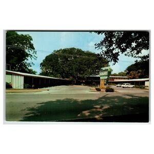 Fountain Court St. Augustine FL Vintage Postcard Live Oak Tree Motel
